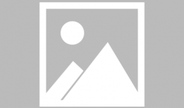 猎物漫画,猎人与猎物间的智慧较量